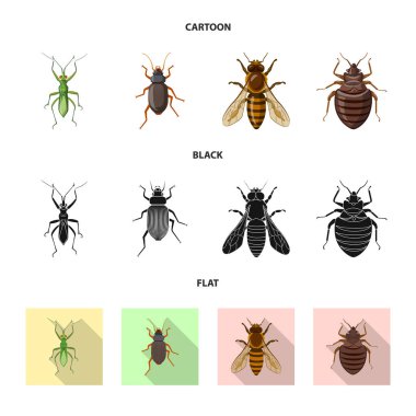 Böcek ve sinek simge vektör Illustration. Böcek ve öğe hisse senedi vektör çizim topluluğu.