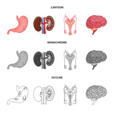 Vücut ve insan işareti yalıtılmış nesne. Vücut ve tıbbi hisse senedi vektör çizim.