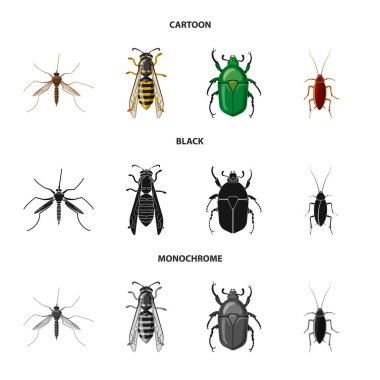 Böcek ve sinek simge vektör tasarımı. Web için böcek ve öğe hisse senedi simgesi kümesi.