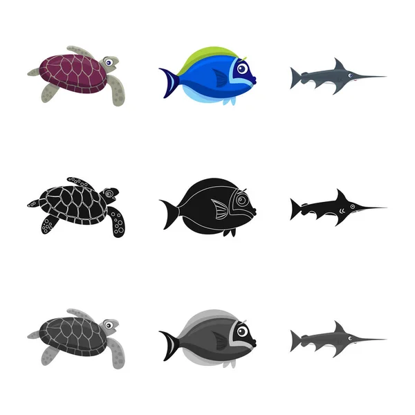 Ізольований об'єкт морського і тваринного логотипу. Набір морських і морських векторних значків для запасів . — стоковий вектор