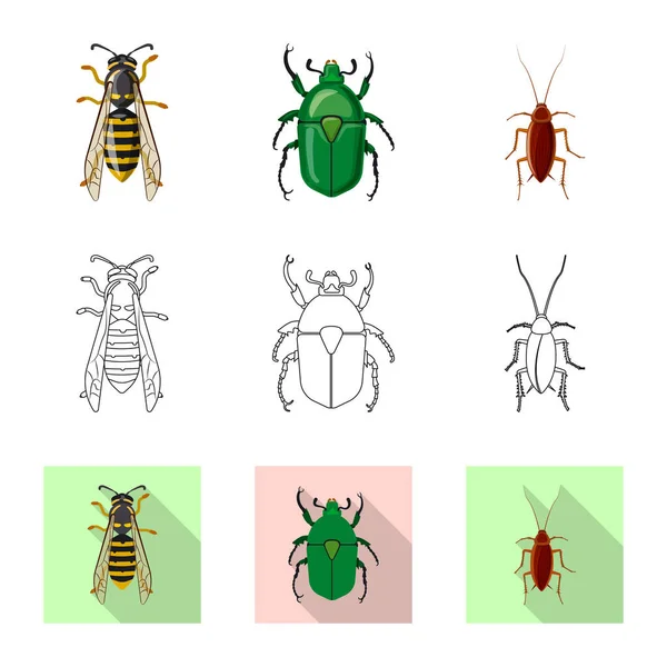 Oggetto isolato di insetto e segno di mosca. Raccolta di icone vettoriali di insetti ed elementi per stock . — Vettoriale Stock