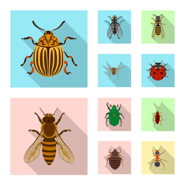 Ilustración vectorial del icono de insectos y moscas. Conjunto de icono de vector de insectos y elementos para stock . — Vector de stock