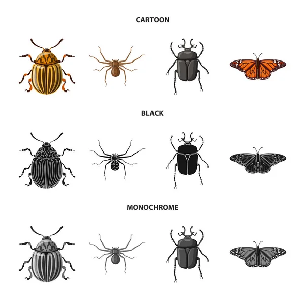 Diseño vectorial del signo de insectos y moscas. Conjunto de insecto y elemento stock vector ilustración . — Vector de stock