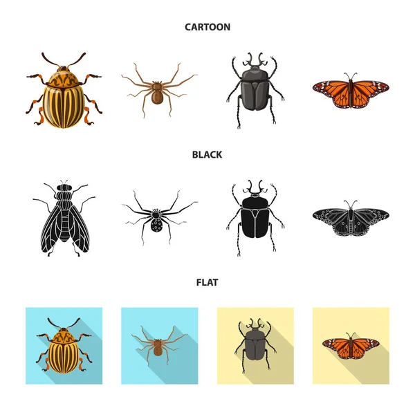 곤충 및 비행 아이콘의 벡터 디자인입니다. 곤충 및 요소 주식 벡터 일러스트 레이 션의 컬렉션. — 스톡 벡터