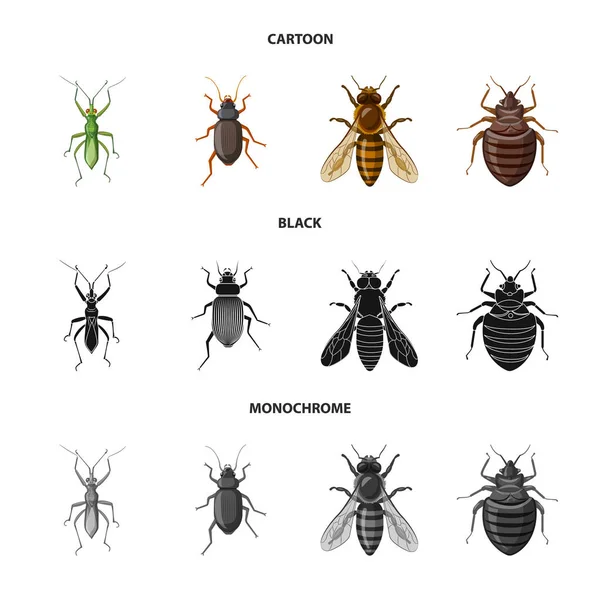 Objeto aislado de insecto e ícono de mosca. Conjunto de icono de vector de insectos y elementos para stock . — Vector de stock