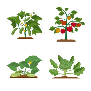 Sera ve bitki logo vektör Illustration. Sera ve Bahçe hisse senedi vektör çizim koleksiyonu.