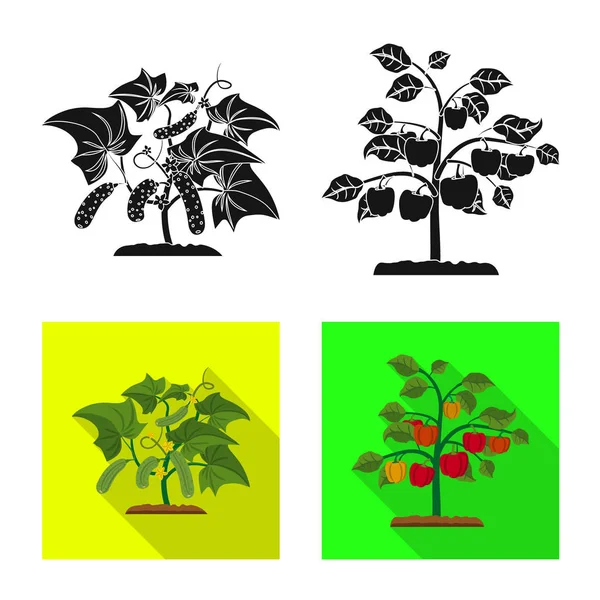 Conception vectorielle du logo de serre et de plante. Collection d'illustrations vectorielles de serre et de jardin . — Image vectorielle