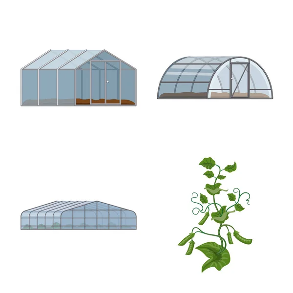 温室和植物符号的孤立对象。收集温室和花园矢量图标的股票. — 图库矢量图片