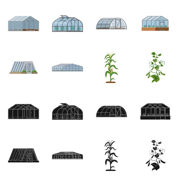 Ilustración vectorial del símbolo de invernadero y planta. Colección de icono de vector de invernadero y jardín para stock . — Vector de stock