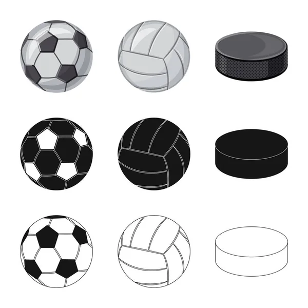 Izolovaný objekt ikony sportu a míč. Sada sportovních a atletických vektorové ilustrace. — Stockový vektor