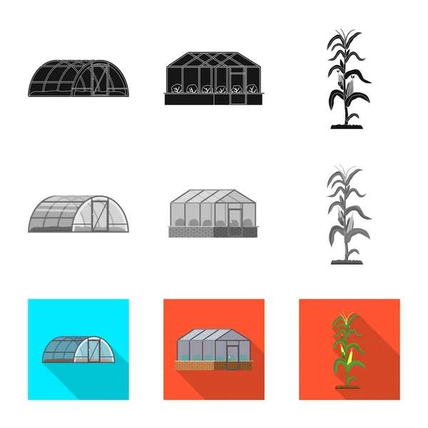 Ilustração vetorial de estufa e símbolo de planta. Conjunto de estufa e ícone de vetor de jardim para estoque . — Vetor de Stock