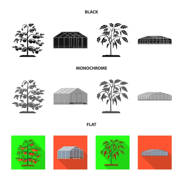 Projekt wektor ikona cieplarnianych i roślin. Kolekcja cieplarnianych i ogród wektor ikona na magazynie. — Wektor stockowy