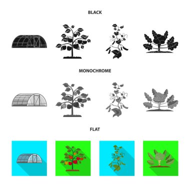 Sera ve bitki logo vektör tasarımı. Sera ve Bahçe hisse senedi vektör çizim koleksiyonu.
