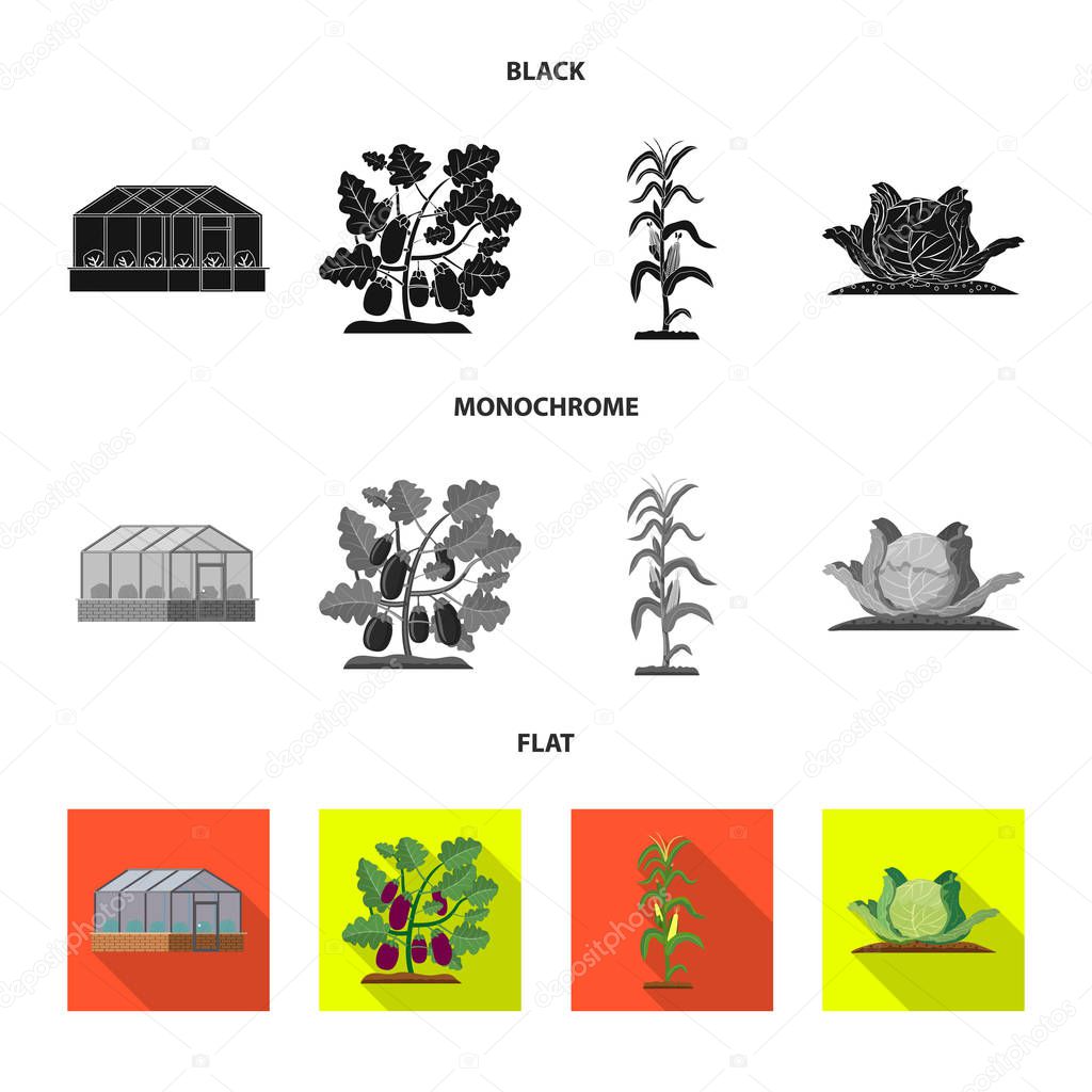 Vector design of greenhouse and plant sign. Collection of greenhouse and garden stock vector illustration.