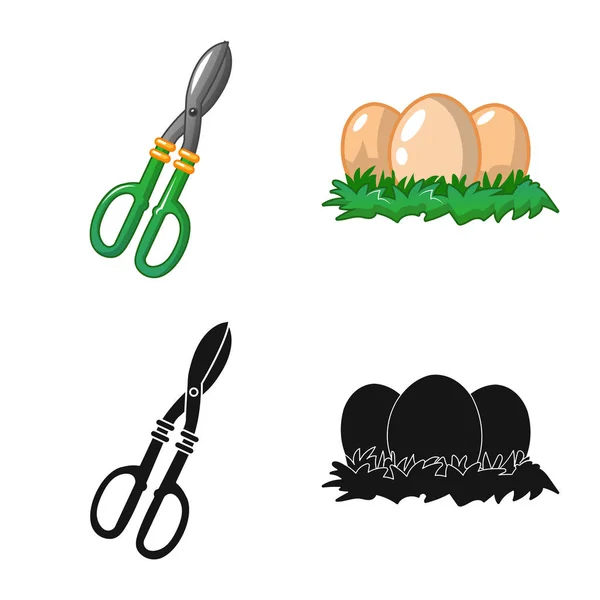 Vector illustration of farm and agriculture icon. Collection of farm and plant stock vector illustration. — Stock Vector