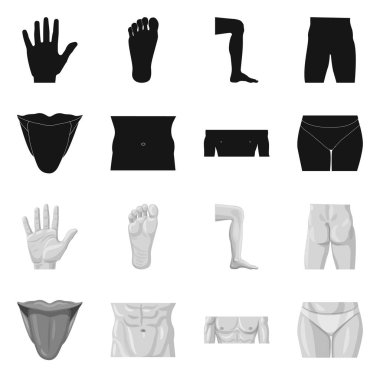 İnsan ve yarım logo vektör tasarımı. İnsan kümesi ve hisse senedi için kadın vektör simgesi.