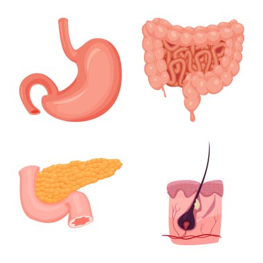Vücut ve insan işareti vektör tasarımı. Vücut ve tıbbi hisse senedi vektör çizim koleksiyonu.