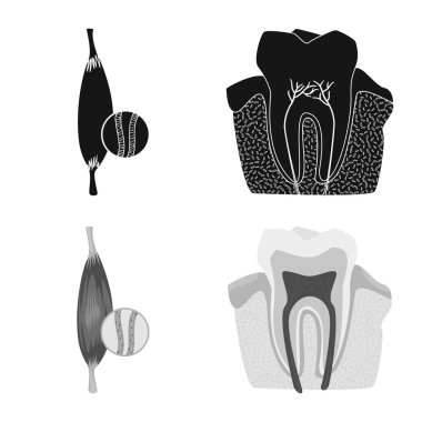 Vücut ve insan logo yalıtılmış nesne. Vücut ve hisse senedi için tıbbi vektör ikon koleksiyonu.