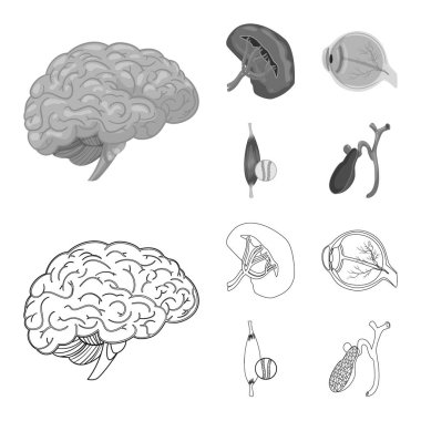 Vücut ve insan simge vektör Illustration. Vücut ve web için tıbbi hisse senedi simgesi.