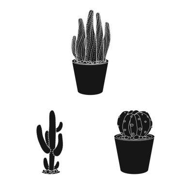 Kaktüs ve pot simge vektör tasarımı. Kaktüs ve kaktüsler koleksiyonu vektör hisse senedi simgesi.