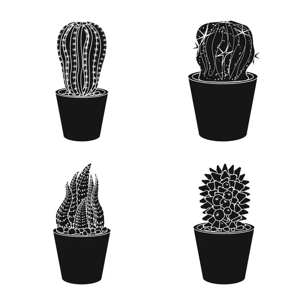 Diseño vectorial de cactus y logotipo del pote. Conjunto de ilustración vectorial de cactus y cactus . — Archivo Imágenes Vectoriales