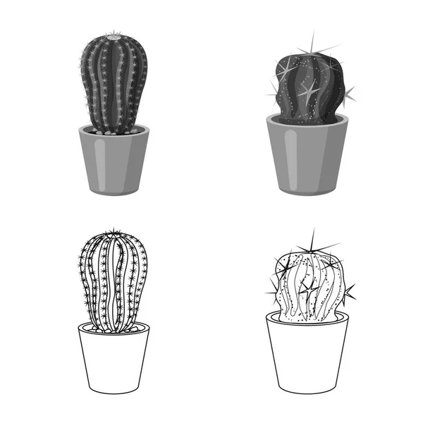 Ilustración vectorial de cactus y logotipo del pote. Colección de cactus y cactus símbolo de stock para web . — Archivo Imágenes Vectoriales
