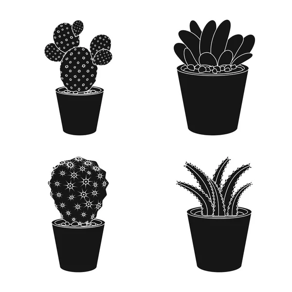 Vektor design av kaktus och potten tecken. Uppsättning cactus och kaktusar vektor ikonen för lager. — Stock vektor