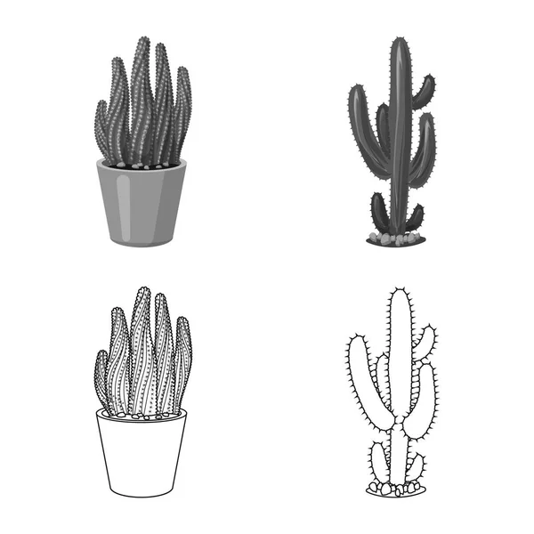 Objet isolé de cactus et logo de pot. Collection de cactus et de cactus symbole stock pour le web . — Image vectorielle