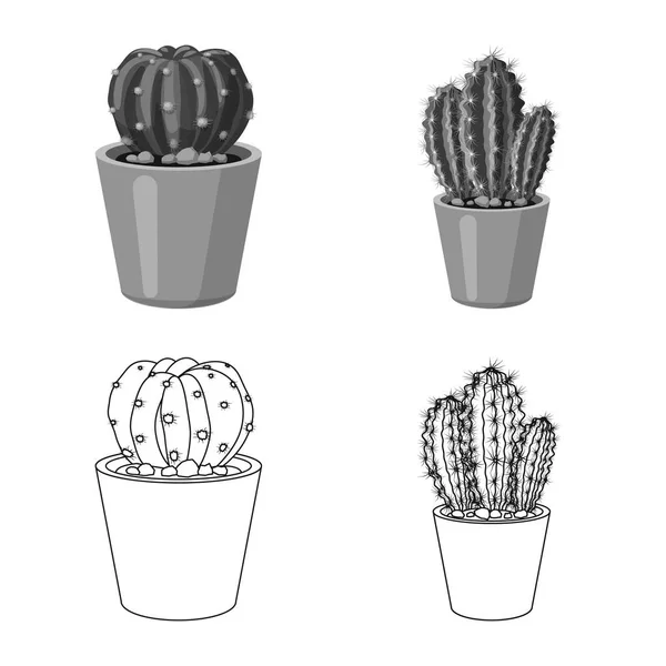 Vector ontwerp van cactus en pot logo. Set cactus en cactussen voorraad vectorillustratie. — Stockvector