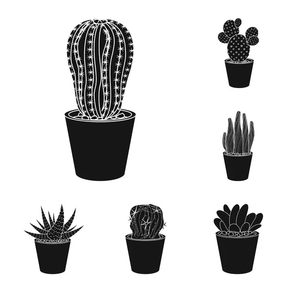 Diseño vectorial de cactus y logotipo del pote. Colección de cactus y cactus stock vector ilustración . — Archivo Imágenes Vectoriales