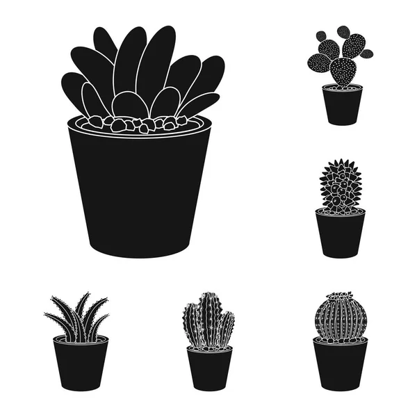 Vector design kaktusz és a pot ikon. Kaktuszok és cactus gyűjtemény állomány szimbólum, web. — Stock Vector