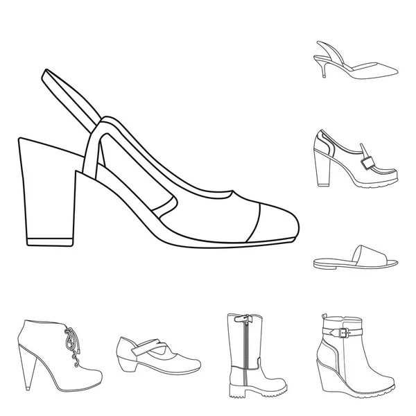 Vector design of footwear and woman logo. Collection of footwear and foot stock symbol for web. — Stock Vector