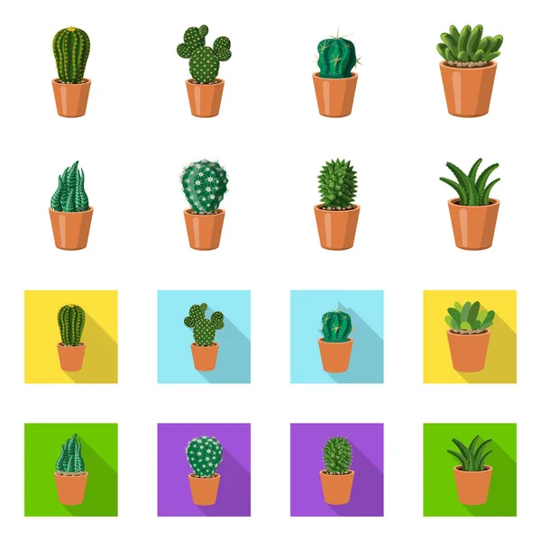 Geïsoleerde object van pictogram cactus en pot. Set cactus en cactussen aandelensymbool voor web. — Stockvector