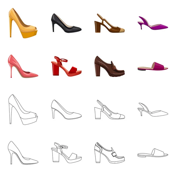 Elkülönített objektum a cipő és a nő jele. Gyűjteménye cipő és láb vektor stock illusztráció. — Stock Vector