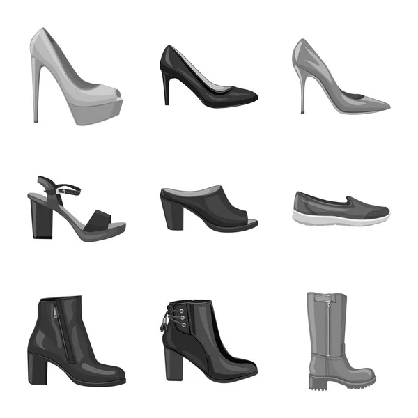 Illustration vectorielle des chaussures et du symbole féminin. Ensemble de chaussures et icône de vecteur de pied pour stock . — Image vectorielle