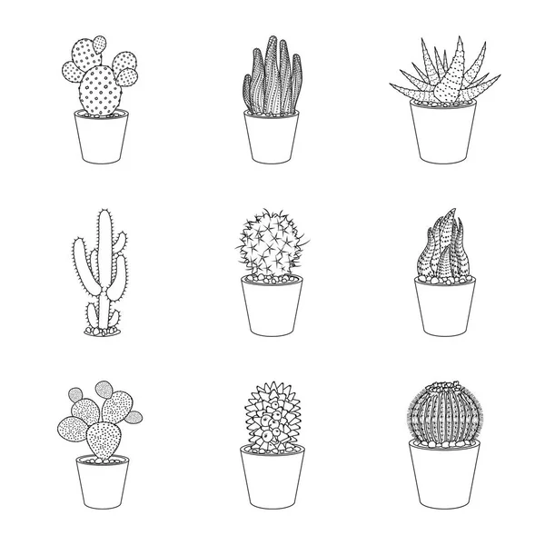 Vektorillustration von Kaktus und Topflogo. Set von Kakteen und Kakteen Vektor-Symbol für Aktien. — Stockvektor