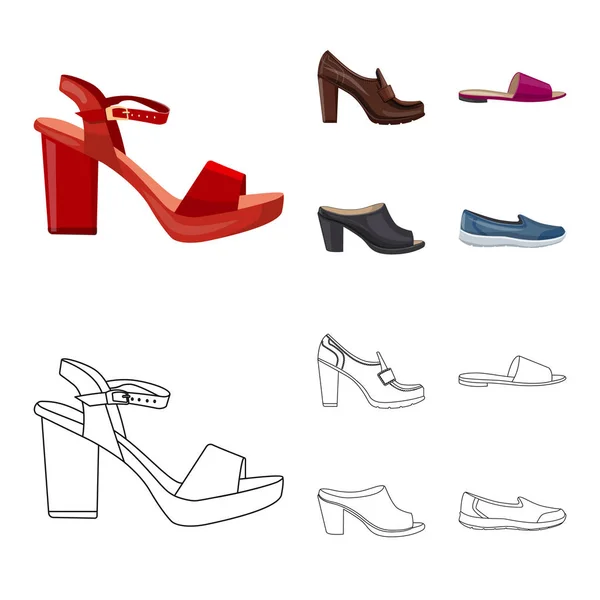 Vektorillustration von Schuhen und Frauenzeichen. Kollektion von Schuhen und Fußvektorsymbolen für den Vorrat. — Stockvektor