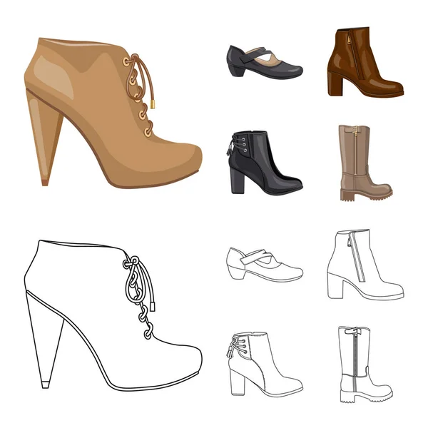 Vektorillustration av skodon och kvinna logotyp. Insamling av skor och fot vektor ikonen för lager. — Stock vektor
