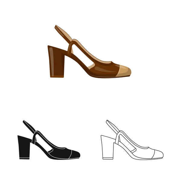 Векторная иллюстрация обуви и женского знака. Набор символов обуви и стопы для паутины . — стоковый вектор