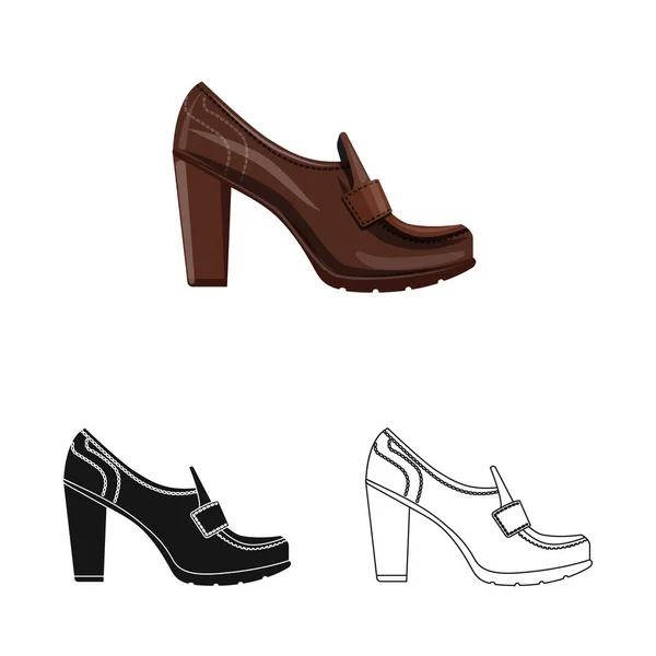 Diseño vectorial de calzado y símbolo de mujer. Colección de calzado y pie vector icono para stock . — Archivo Imágenes Vectoriales