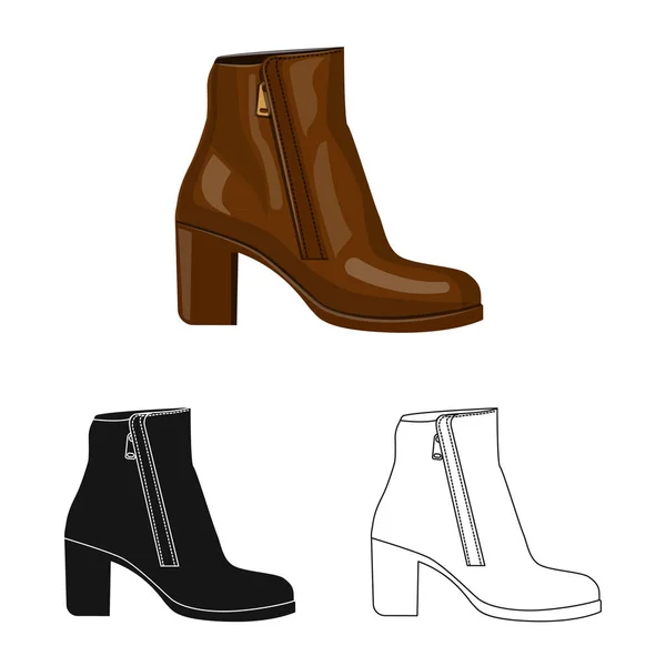Vektorillustration av skodon och kvinna ikonen. Insamling av skor och fot lager vektorillustration. — Stock vektor