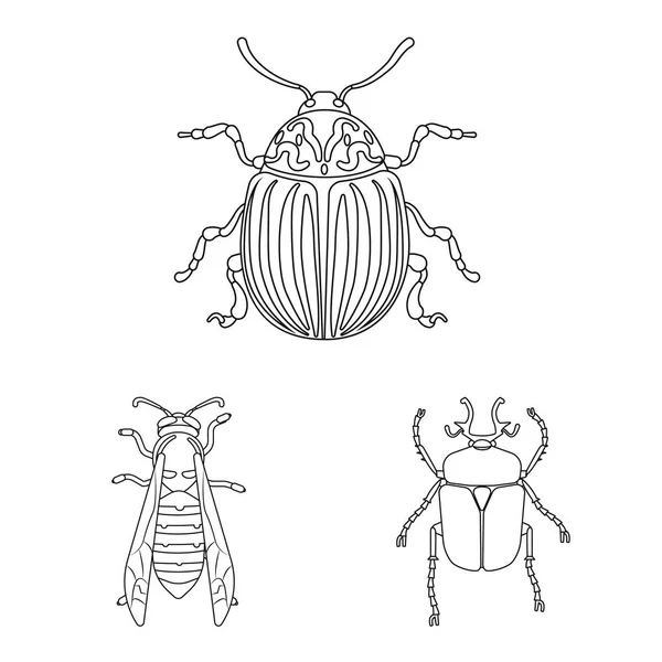 Векторный дизайн логотипа насекомых и мух. Набор векторных значков насекомых и элементов для склада . — стоковый вектор