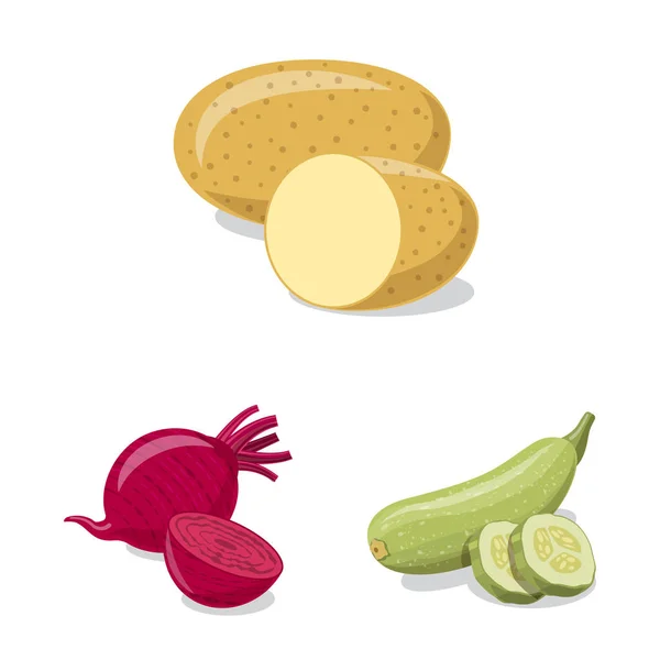 Vektorillustration des Gemüse und Obst-Logos. Set von pflanzlichen und vegetarischen Aktiensymbolen für das Web. — Stockvektor