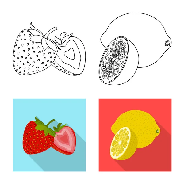 Desenho vetorial do ícone de vegetais e frutas. Conjunto de símbolo de estoque vegetal e vegetariano para web . — Vetor de Stock