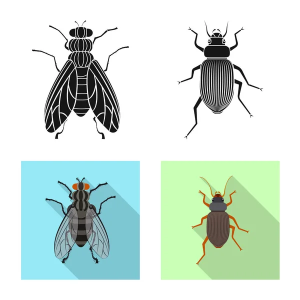 Objeto aislado de insecto y signo de mosca. Conjunto de insecto y elemento símbolo de stock para web . — Archivo Imágenes Vectoriales