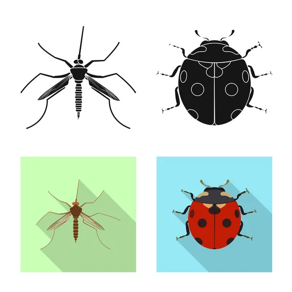 Diseño vectorial del símbolo de insectos y moscas. Colección de insectos y símbolo de stock de elementos para la web . — Vector de stock