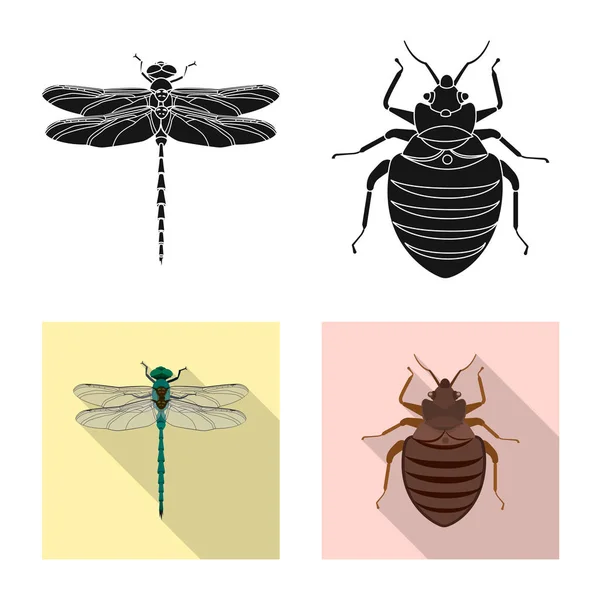 Vektordesign von Insekten- und Fliegenlogo. Set von Insekten- und Elementvektorsymbolen für Aktien. — Stockvektor