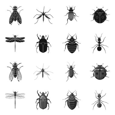 Böcek ve sinek sembolü yalıtılmış nesne. Böcek ve öğe hisse senedi simgesi için web topluluğu.