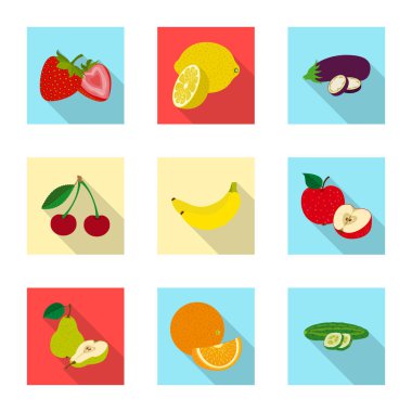 Sebze ve meyve simge vektör tasarımı. Web için sebze ve vejeteryan hisse senedi simgesi kümesi.