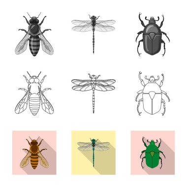 Böcek ve sinek simge vektör tasarımı. Böcek ve öğe hisse senedi vektör çizim topluluğu.